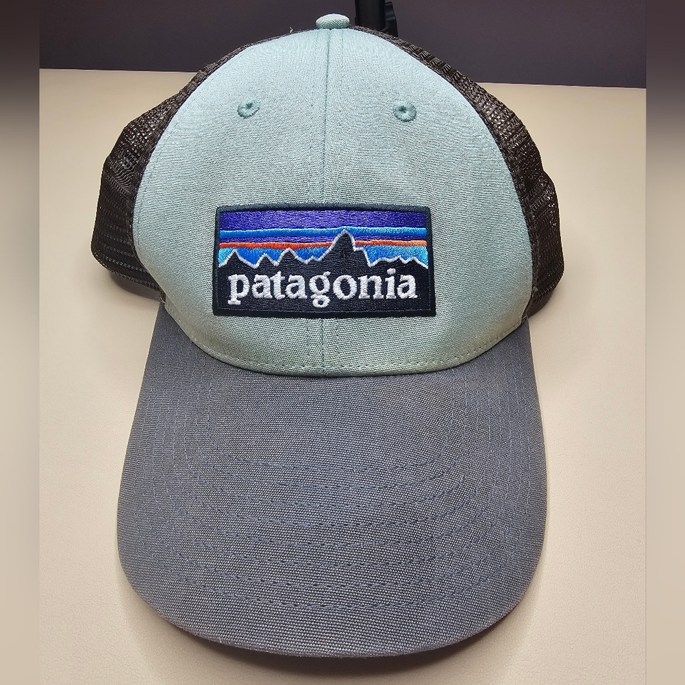 Patagonia Snap Back Trucker's Hat Cap Brown Mesh Green Gray Bill Snapback